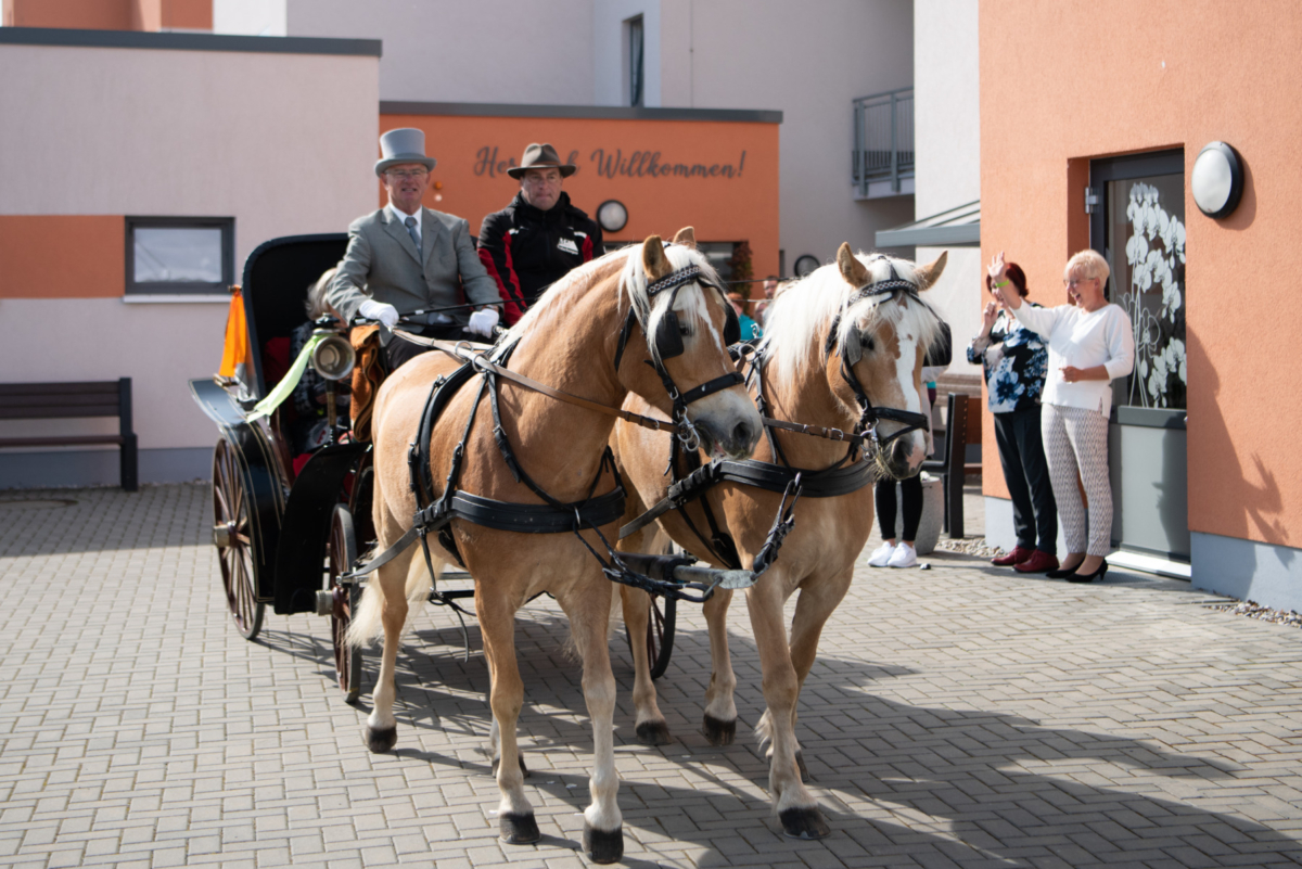 Pferdekutsche vor dem Haus alma