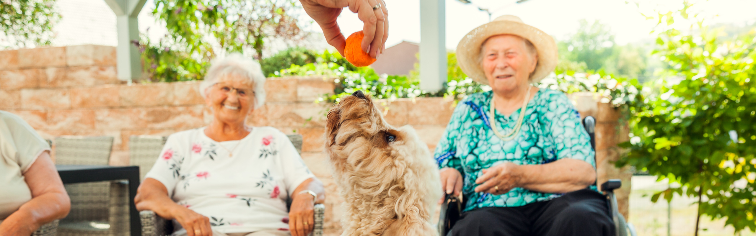 zwei ältere Frauen lächeln sitzend im Hintergrund, während ein Hund im Vordergrund mit einem Ball spielt