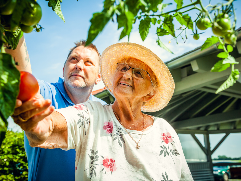 Mann in blauem Shirt und ältere Frau mit Brille und Sonnengut schauen sich Tomatenpflanzen an